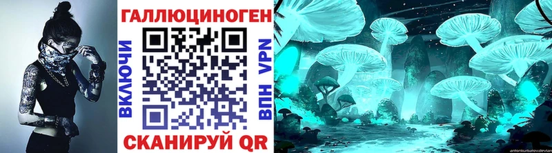наркотики  Малгобек  Псилоцибиновые грибы Psilocybine cubensis 